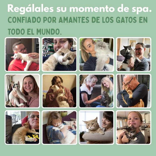 VAPOPELO® - Cepillo de Vapor Multifuncional 4 en 1 para gatos